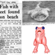 Image for article titled A Field Guide to Cryptids From Europe and Africa